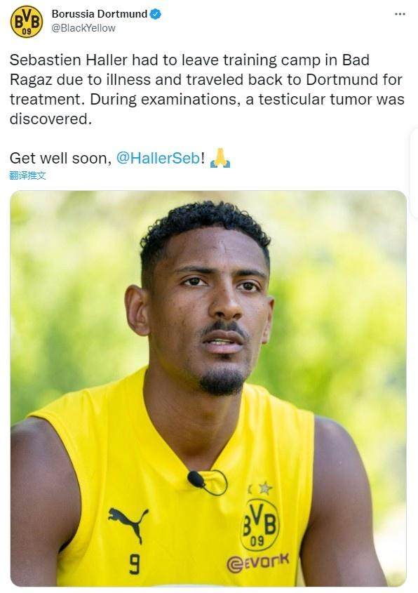 1658185268426019307.jpg alai.jpg